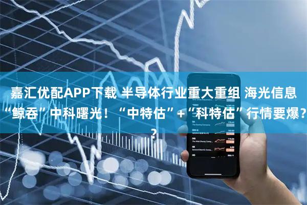 嘉汇优配APP下载 半导体行业重大重组 海光信息“鲸吞”中科曙光！“中特估”+“科特估”行情要爆？