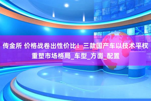 传金所 价格战卷出性价比！三款国产车以技术平权重塑市场格局_车型_方面_配置