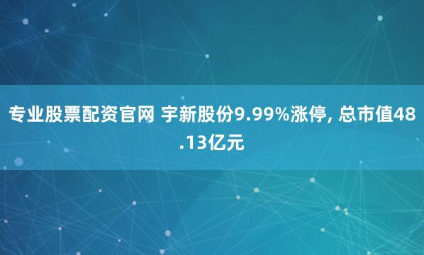 专业股票配资官网 宇新股份9.99%涨停, 总市值48.13亿元
